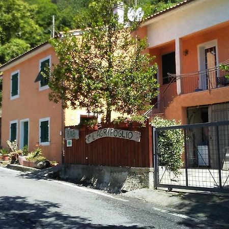 Bed and Breakfast Casa Vacanze L'Agrifoglio Magliolo Exterior foto